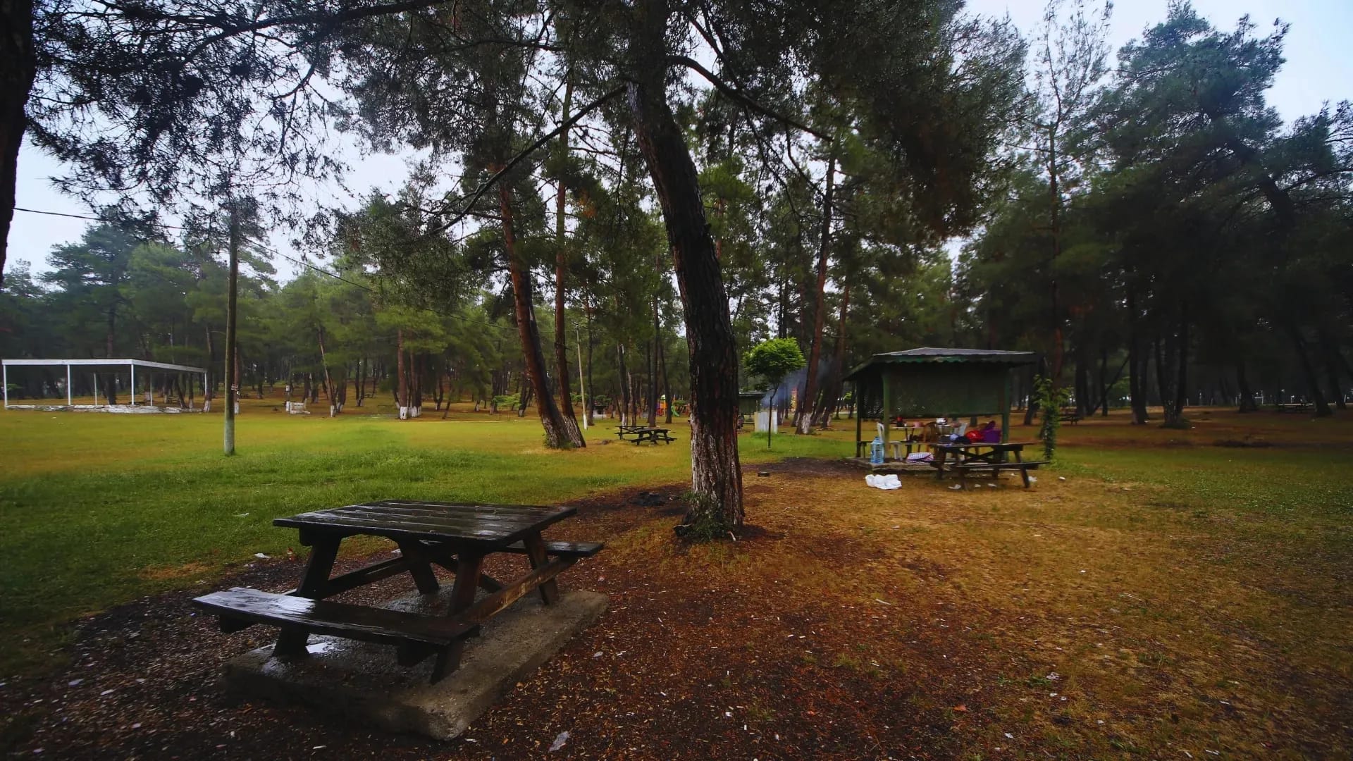 Karagöz Piknik Alanı