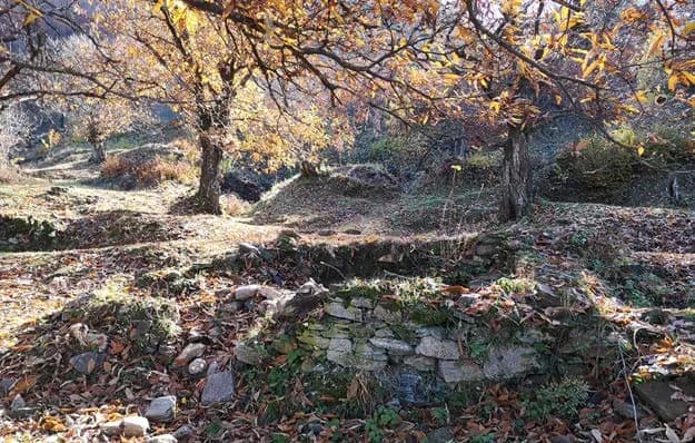 Uludağ Polihron (Cyril/Kiril) Manastırı