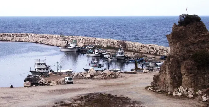 カラジャベイ・純血アラブ馬国立牧場(TİGEM)